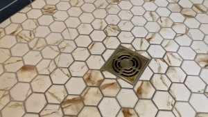 Luxury Master Bathroom remodel by Stately Builders in North Buffalo, NY.