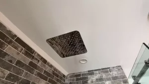 Chrome shower head.