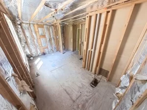 Demolition stage of bathroom remodel featuring exposed plumbing, wall studs, and ceiling insulation.