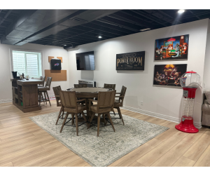 Basement Remodel