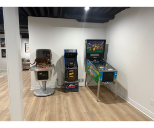 Basement Remodel