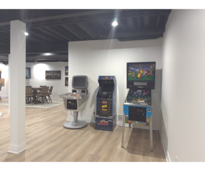 Basement Remodel